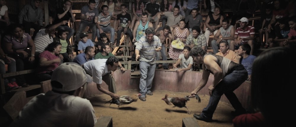 Por las Plumas — nico wong